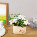 Niski biały wazon dekoracyjny z napisem Life – 7 cm